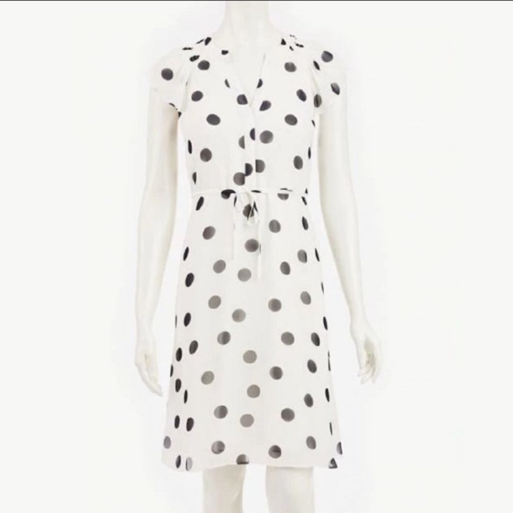 Light & Flowy Polka Dot Flutter Sleeve Dress - image 1